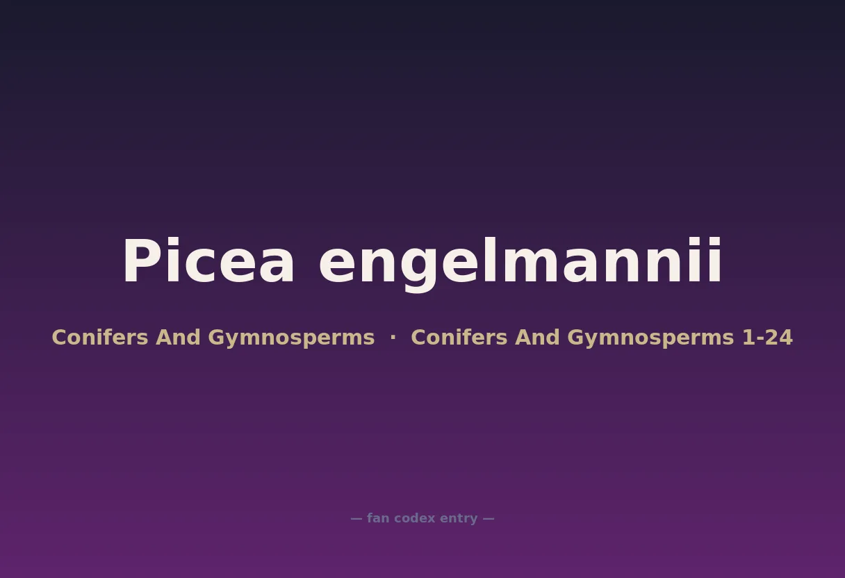 Picea engelmannii