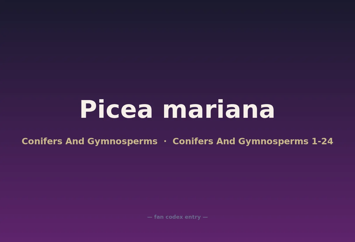 Picea mariana