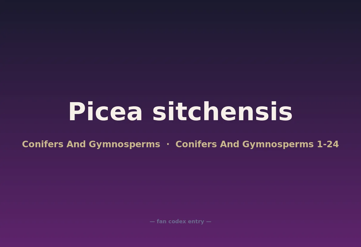 Picea sitchensis