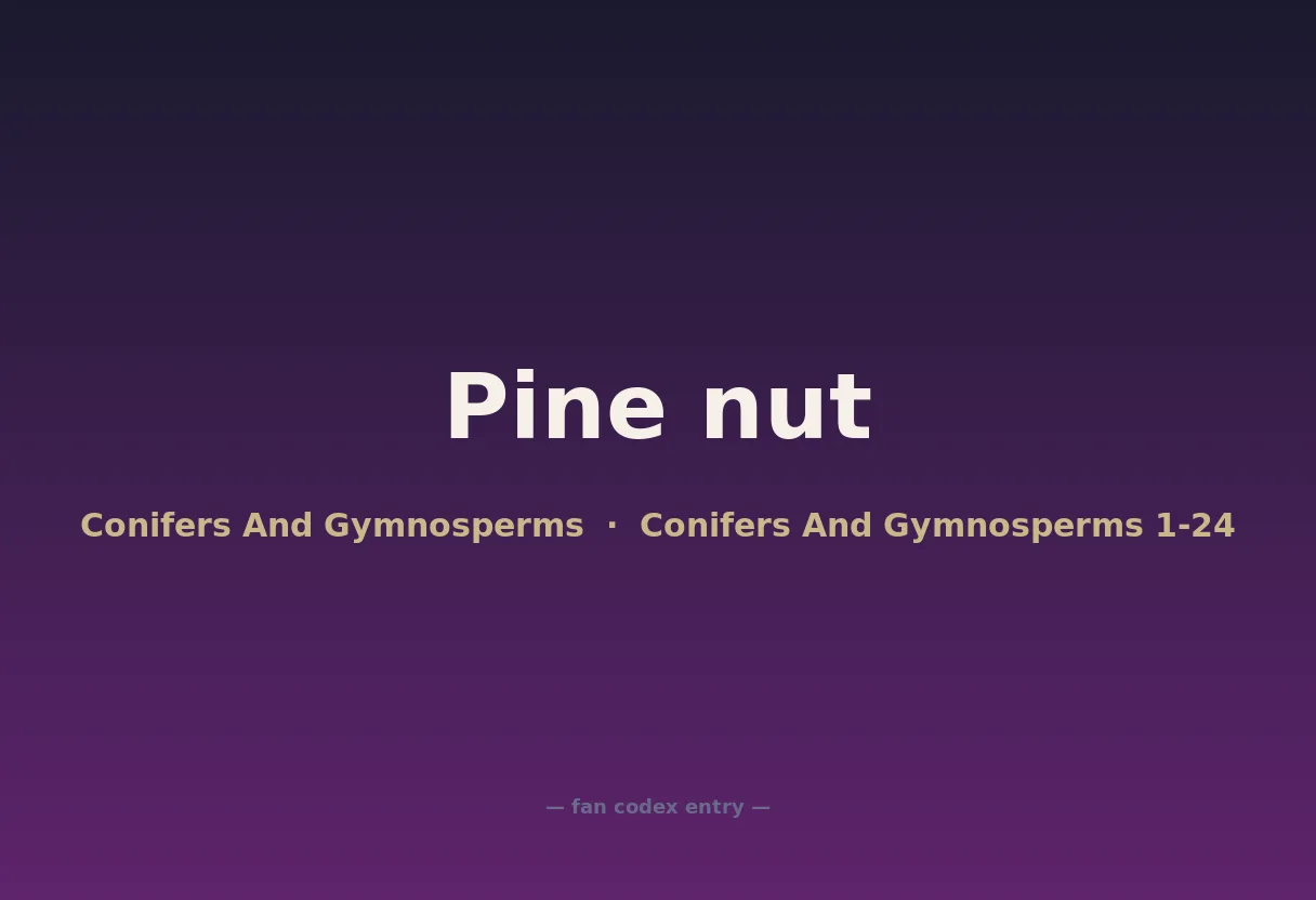 Pine nut