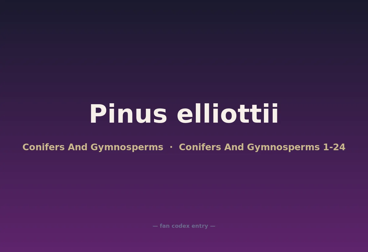 Pinus elliottii