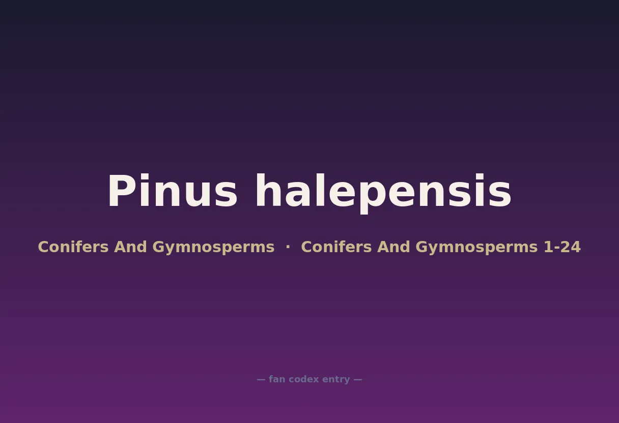 Pinus halepensis