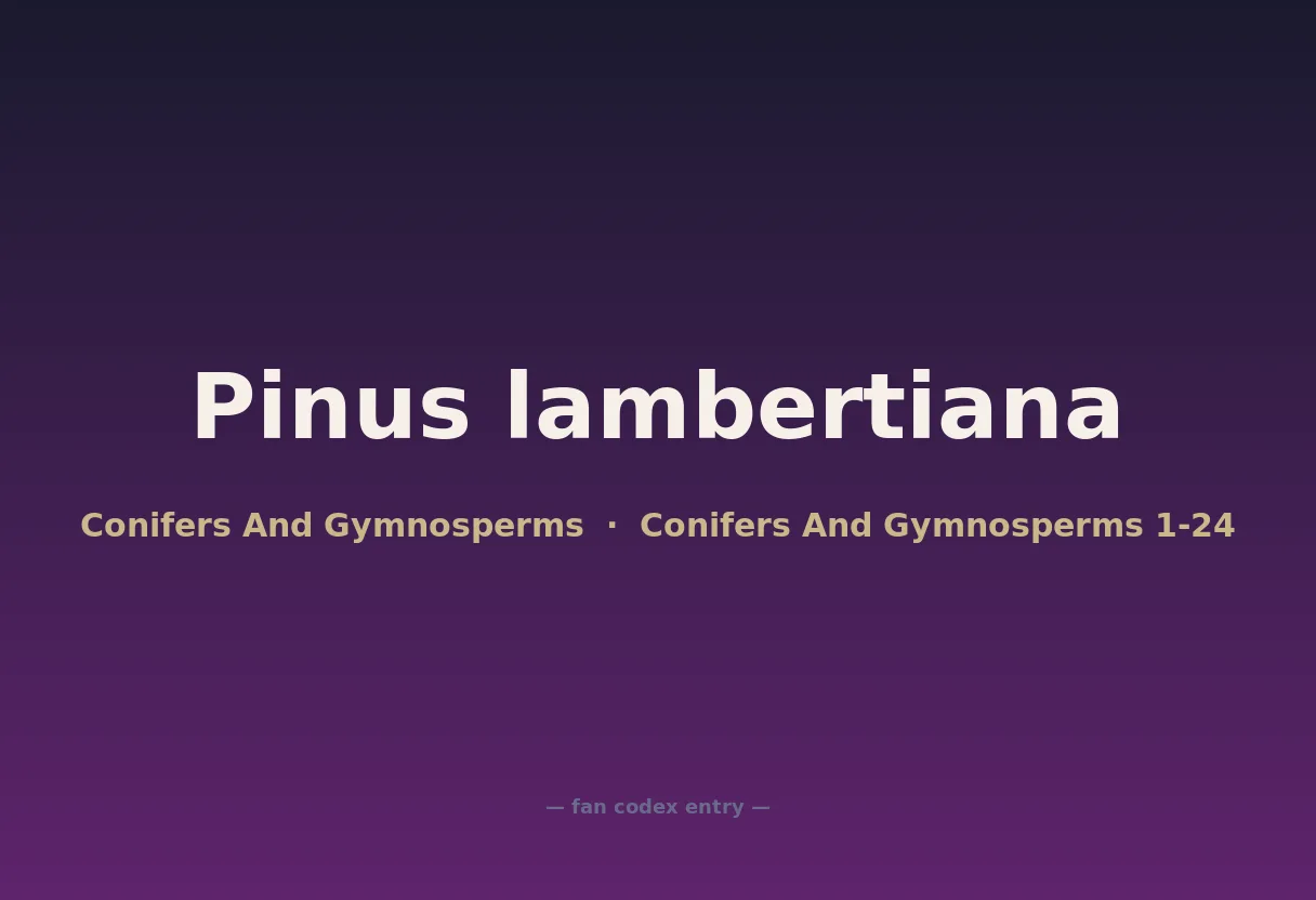 Pinus lambertiana