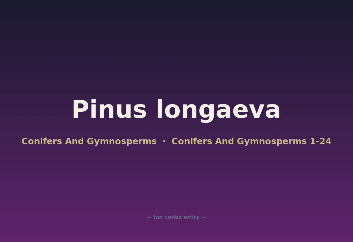 Pinus longaeva
