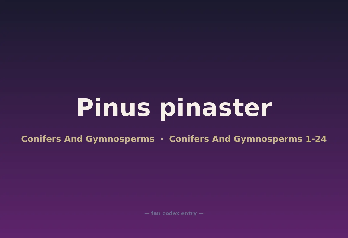 Pinus pinaster