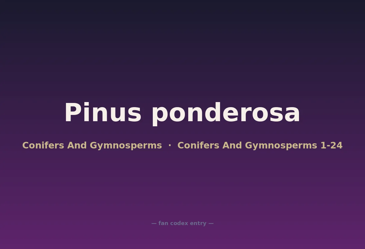 Pinus ponderosa