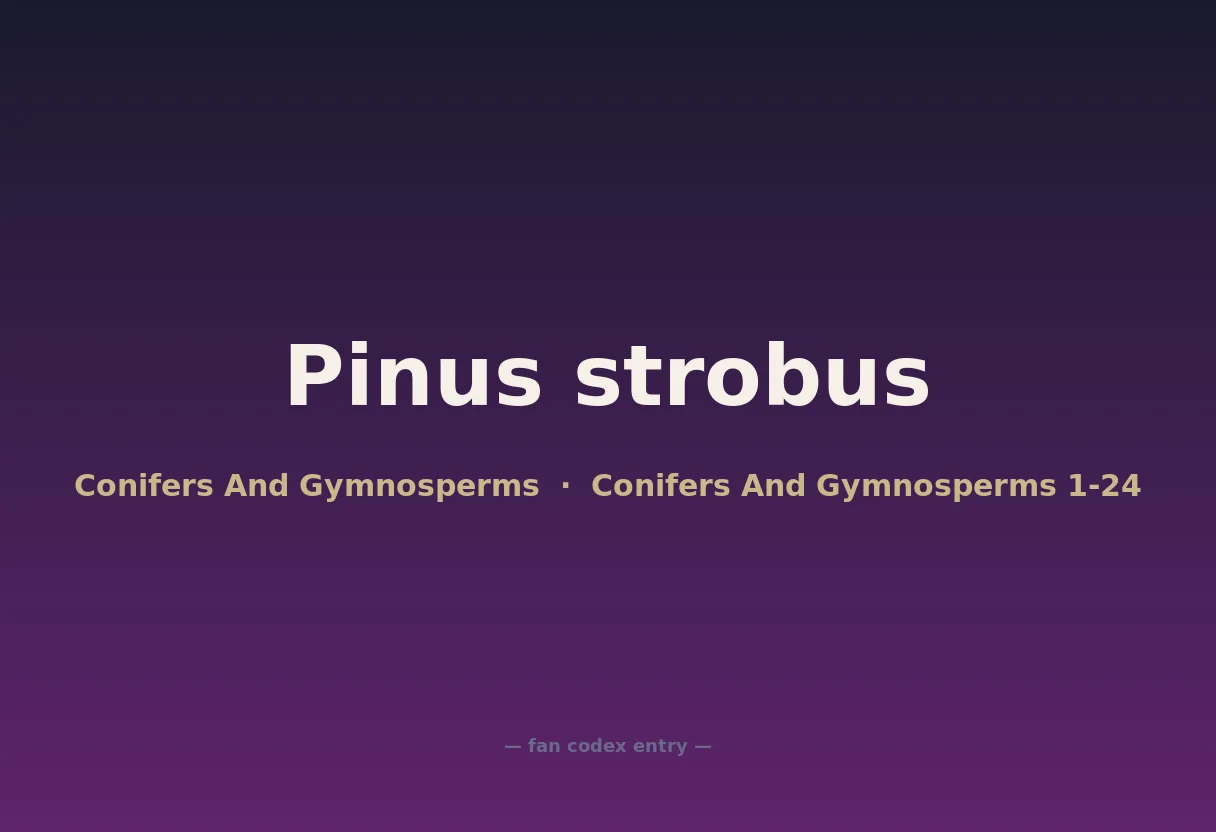 Pinus strobus