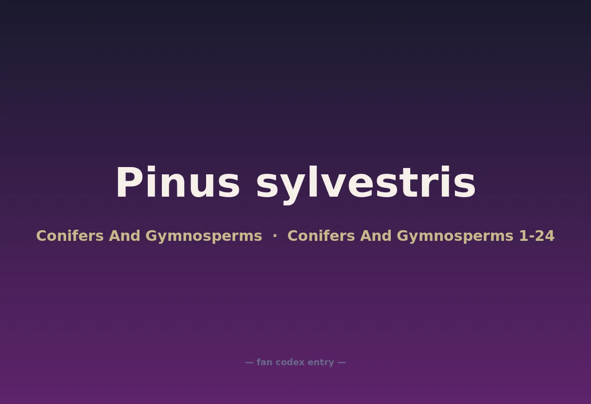 Pinus sylvestris