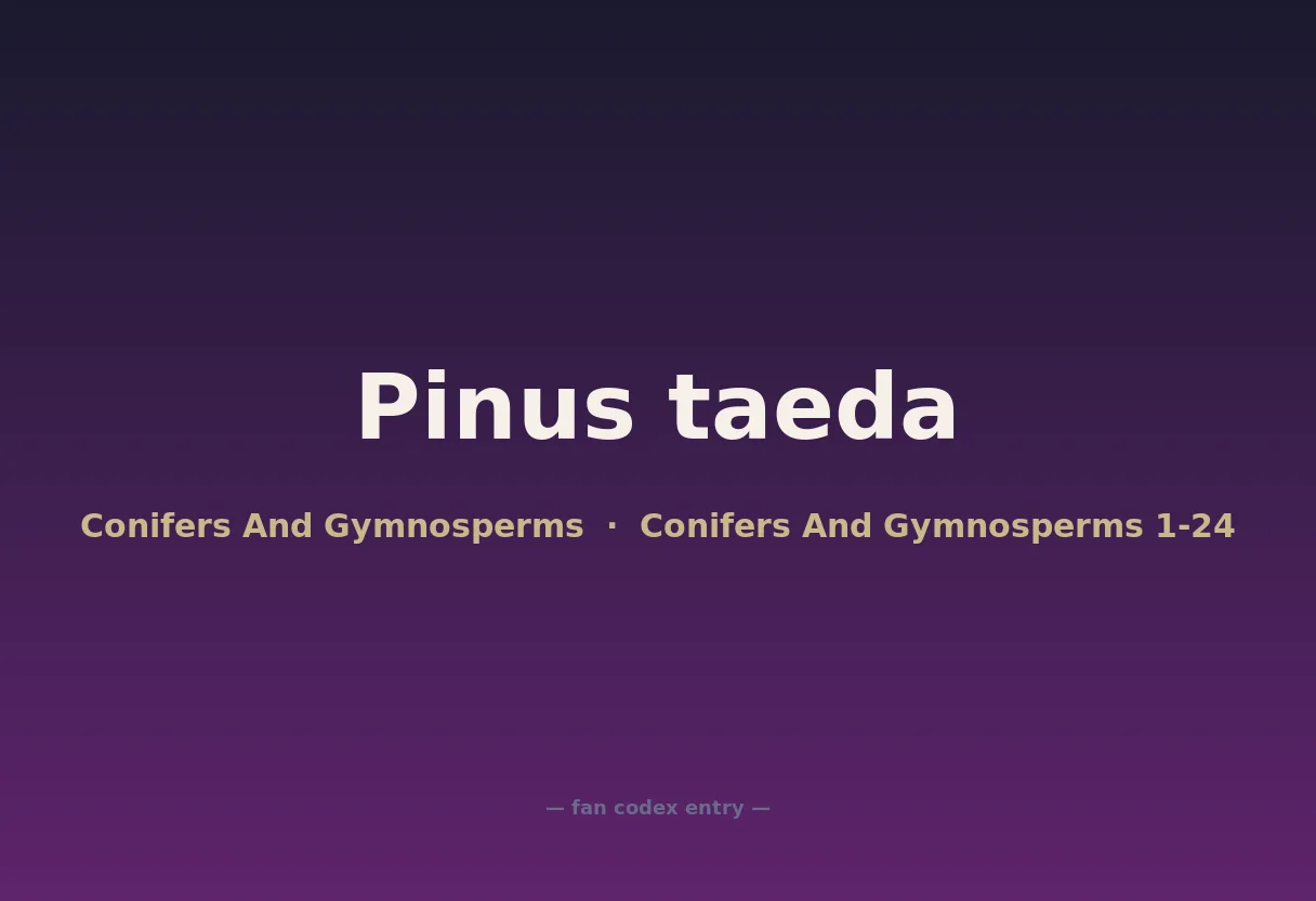 Pinus taeda