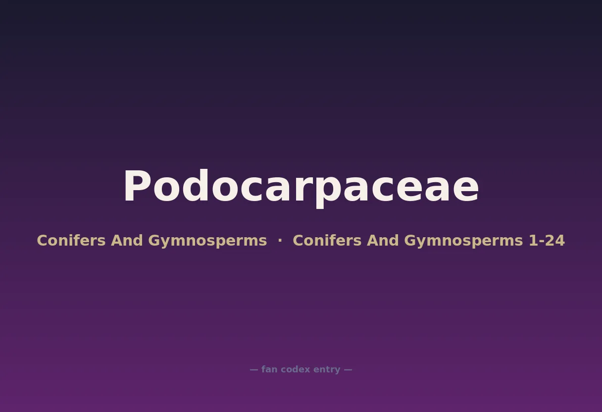 Podocarpaceae
