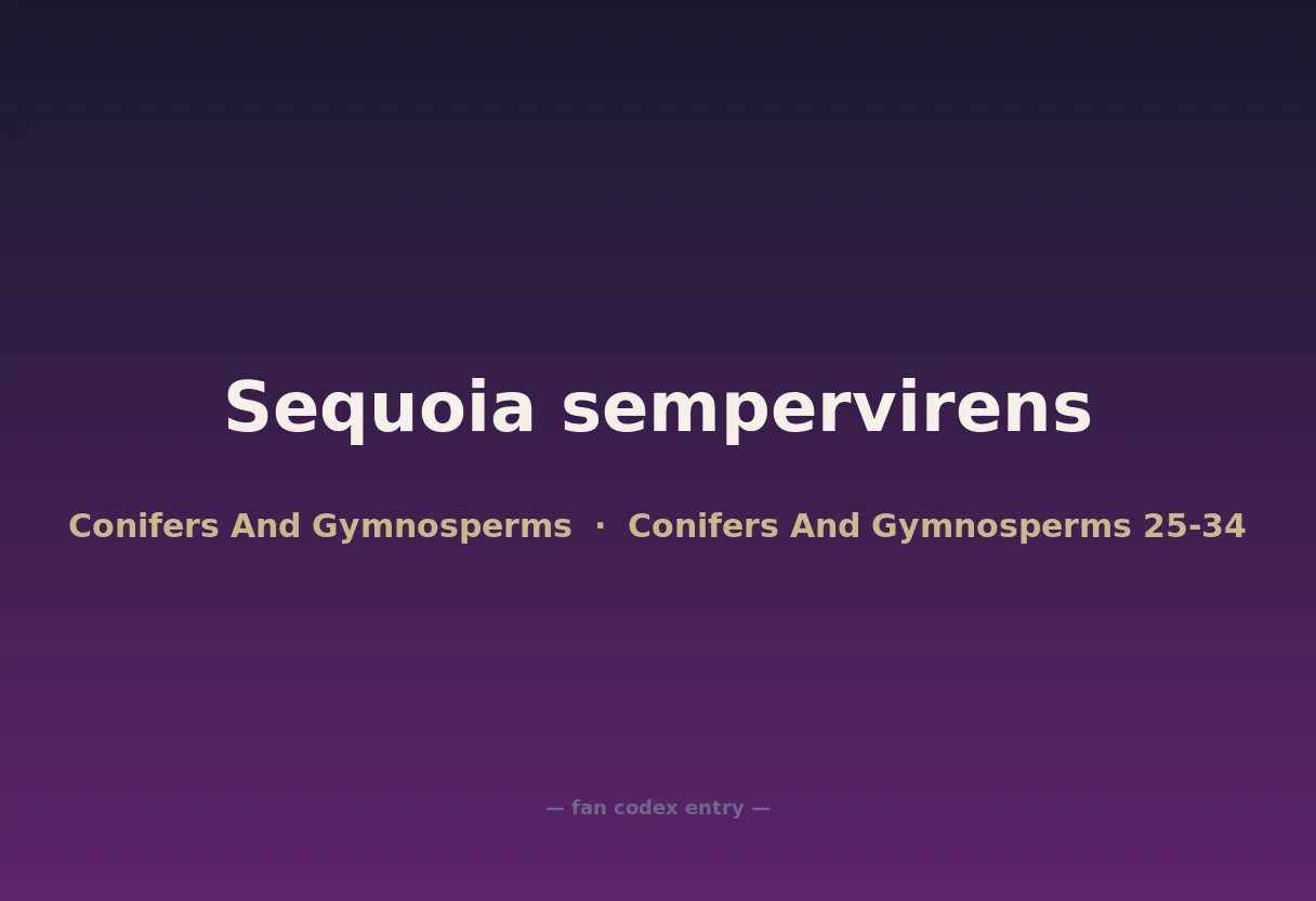 Sequoia sempervirens