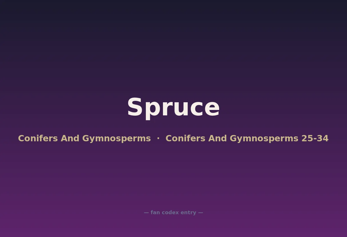 Spruce