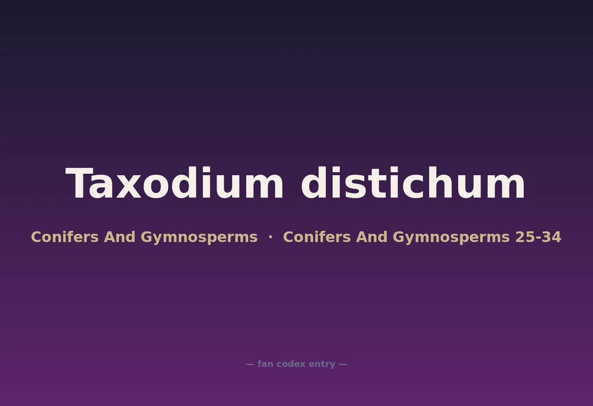 Taxodium distichum