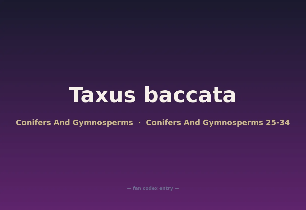 Taxus baccata