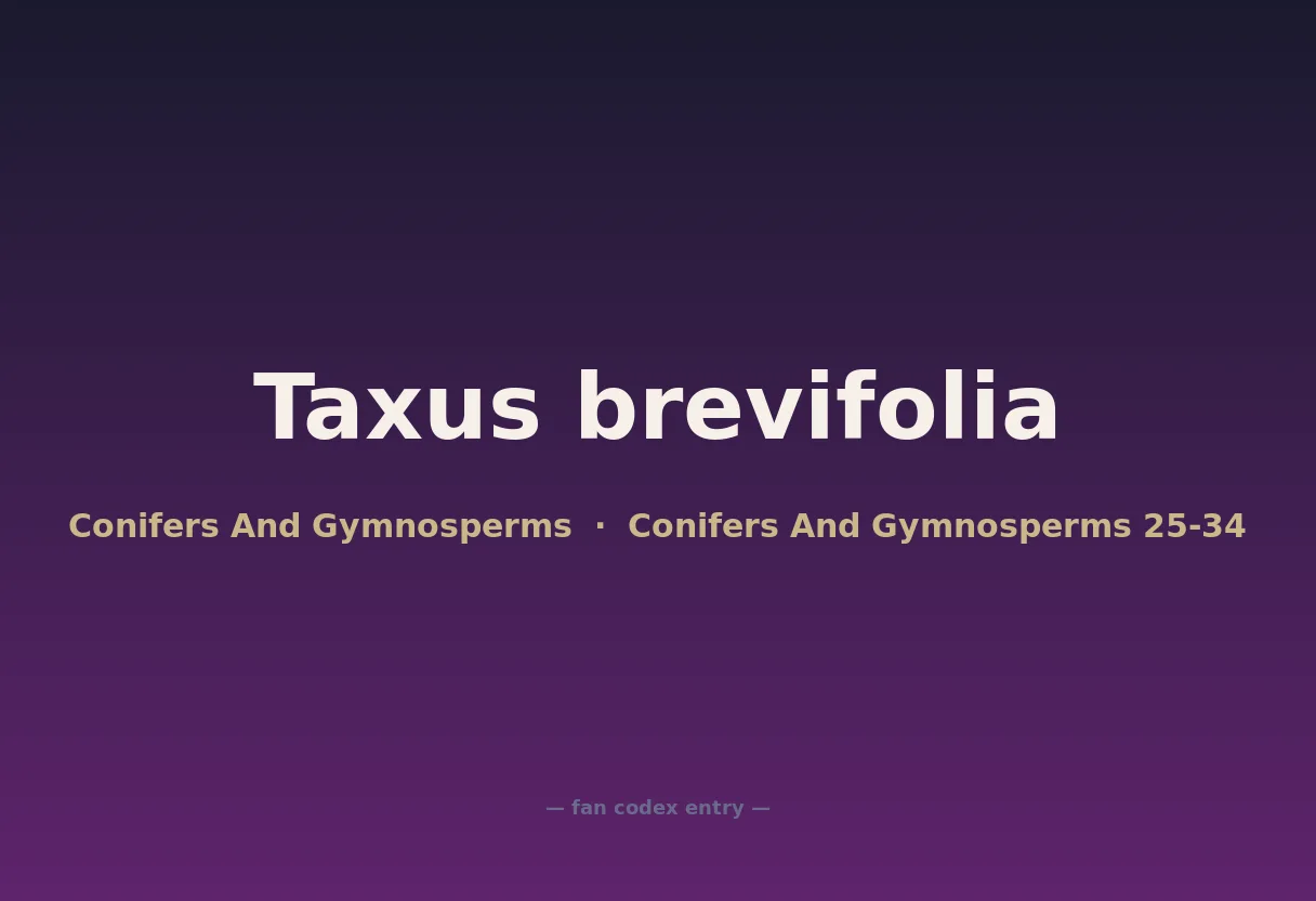 Taxus brevifolia